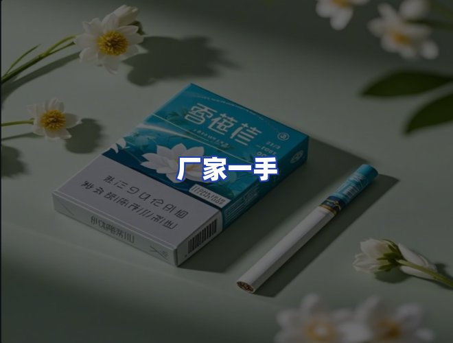 专业团队